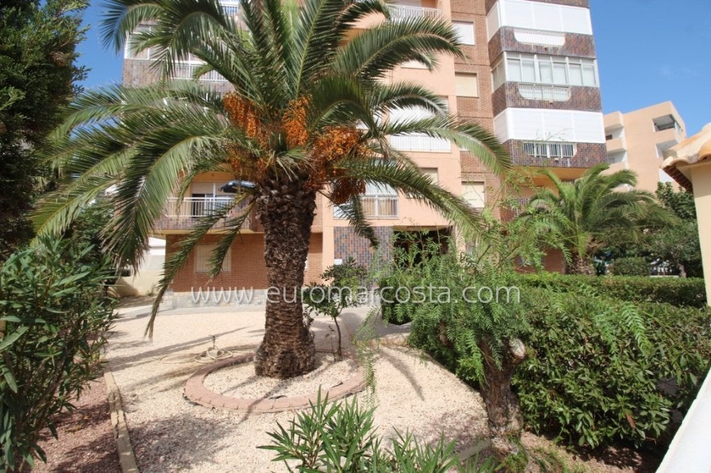 REF T52522-Appartement lumineux avec vue mer à La Mata Beach, Immo, Étranger, Ville, 71 m², Appartement, 3 pièces