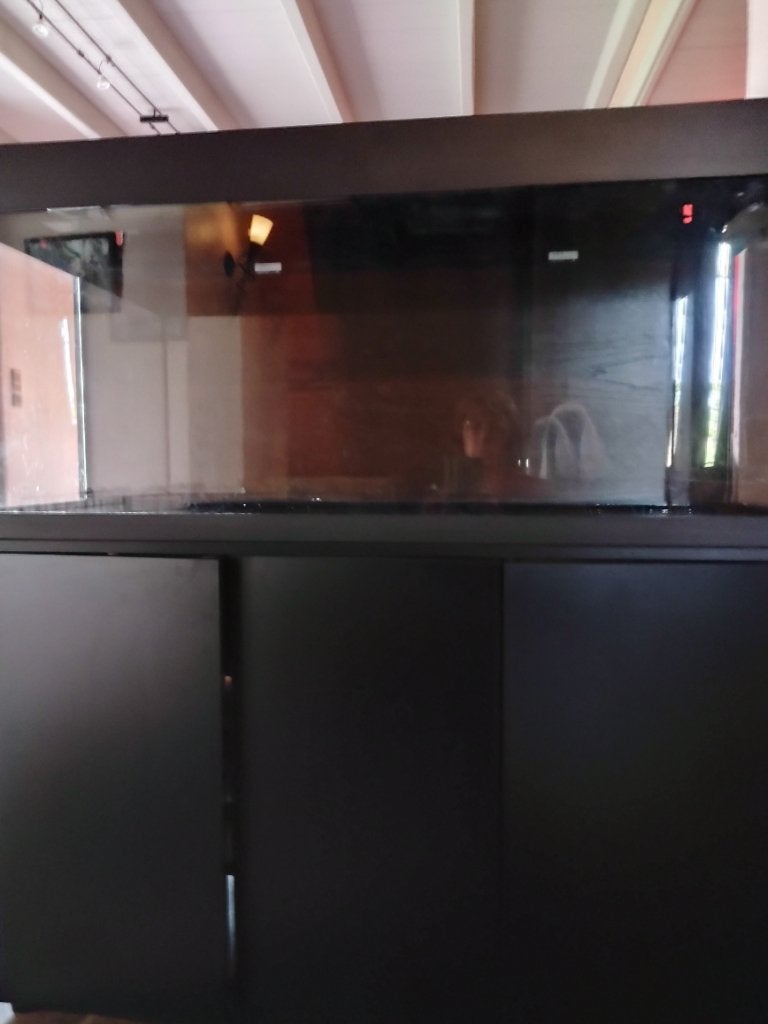 Aquarium 240L met kast en lichtkap, Aquarium vide, Enlèvement, Utilisé, Chauffage