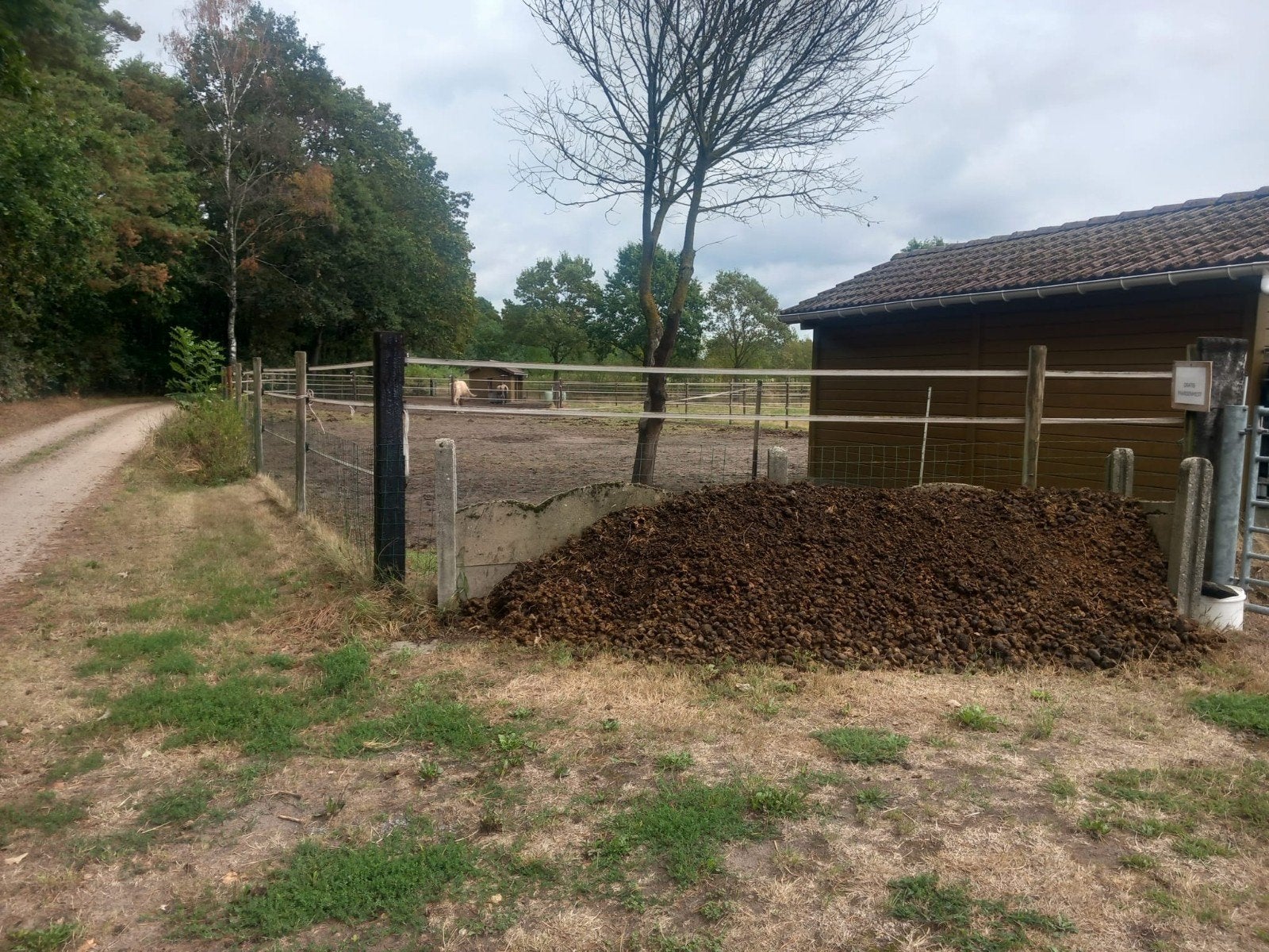Gratis zuiver paardenmest, Tuin en Terras, Ophalen