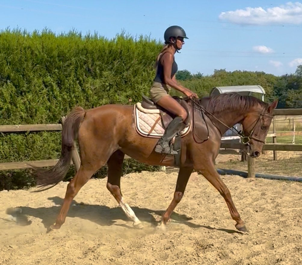 Leuke 10j merrie, Dieren en Toebehoren, Pony's, Merrie, B