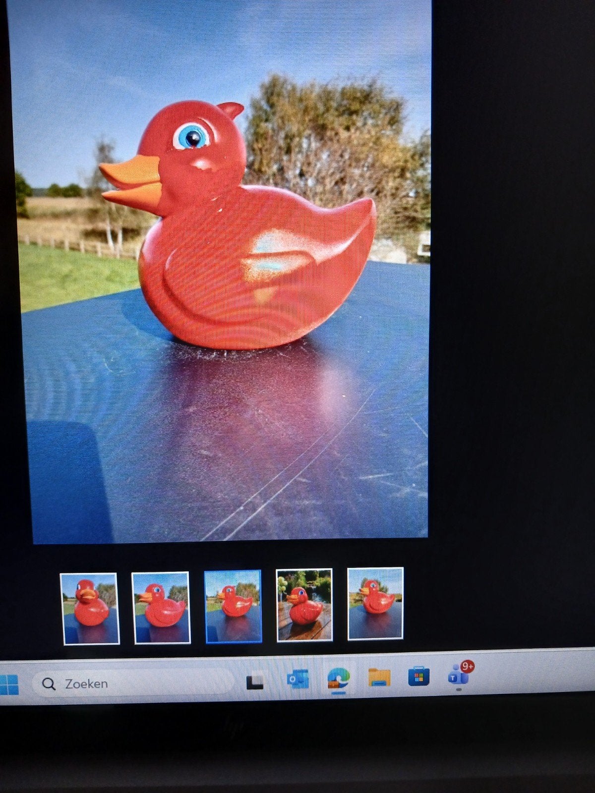 figuur large red bath duck polyresine, Ophalen, Nieuw