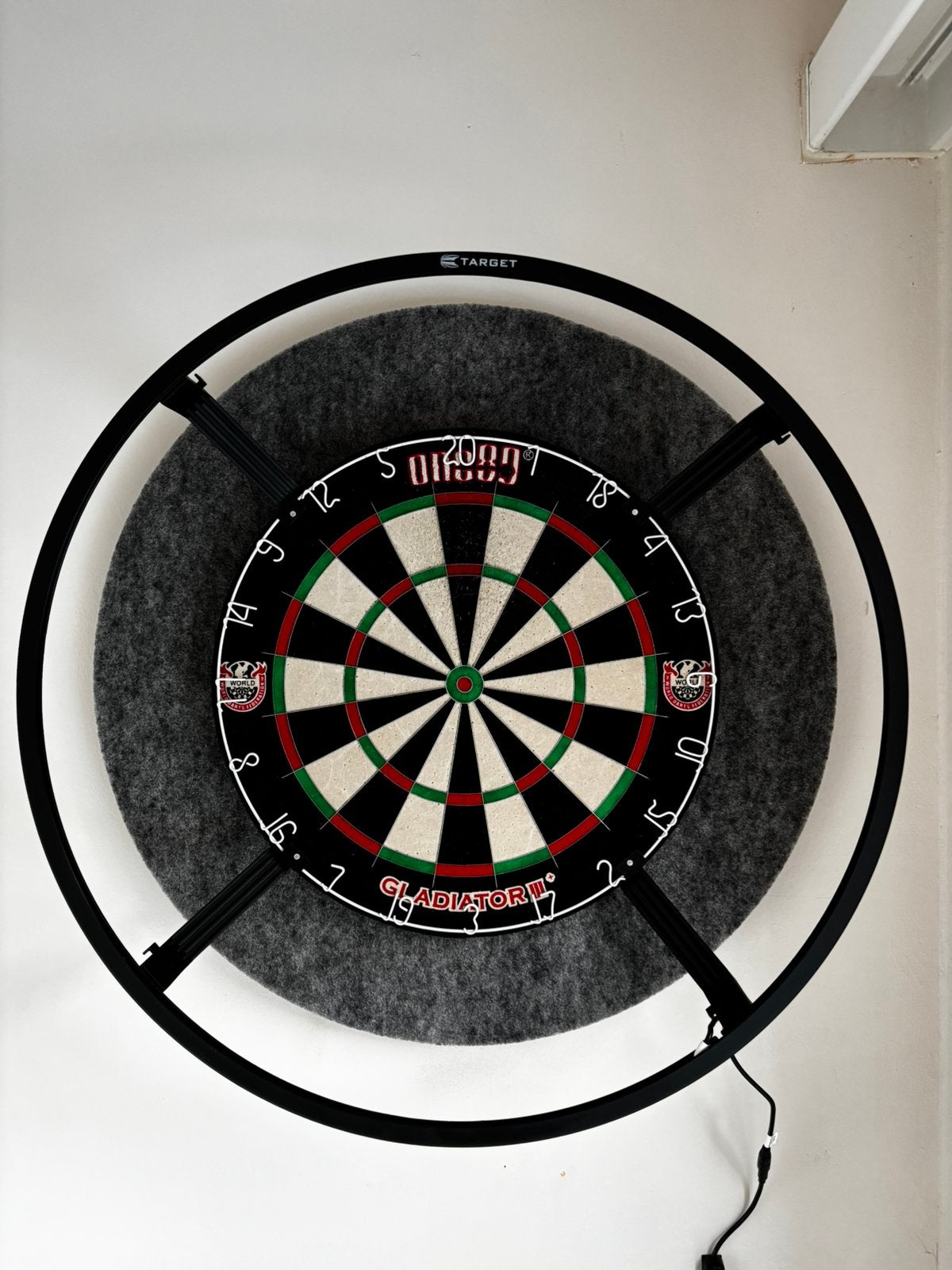 Dartset, Sport en Fitness, Darts, Ophalen of Verzenden, Zo goed als nieuw, Dartbord met pijlen