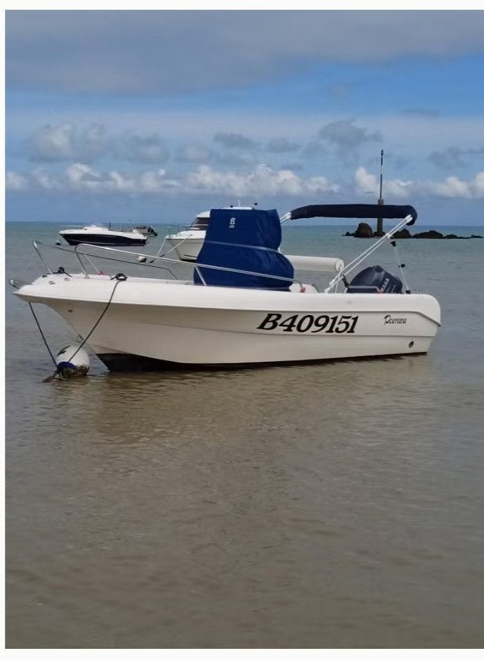 Pacific Craft open 500, 2007, 50CH, 226H, Ophalen, Dieptemeter