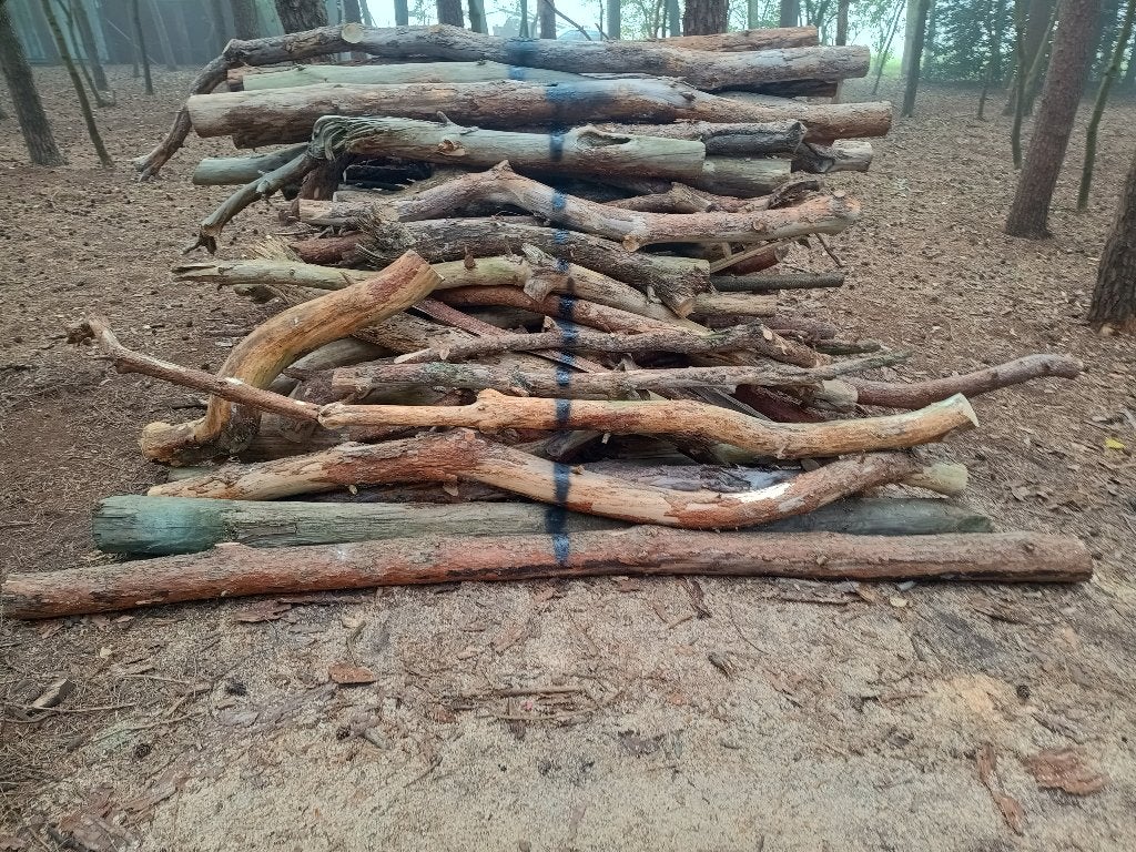 Brandhout, 3 à 6 m³, Enlèvement, Troncs d'arbres