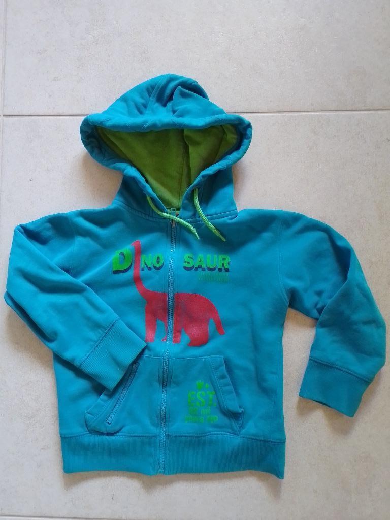 Trui jongen maat 110, Kinderen en Baby's, Kinderkleding | Maat 110, Ophalen, Gebruikt, Trui of Vest, Someone