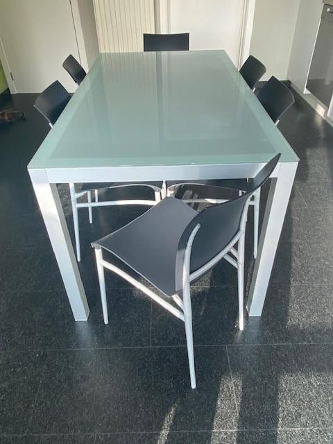 Tafel (glas), Huis en Inrichting, Tafels | Eettafels, Ophalen, Vijf personen of meer, Rechthoekig, Glas