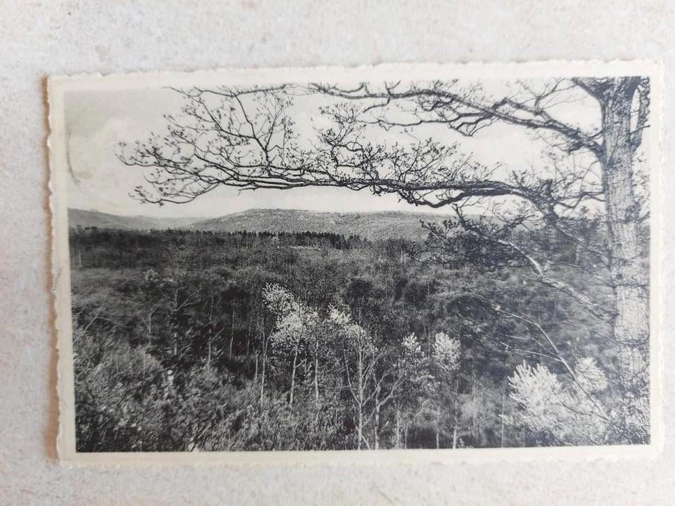 Carte postale ancienne Heer s. Meuse, Enlèvement ou Envoi