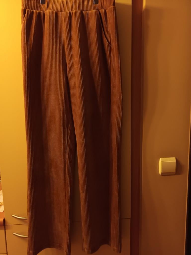 Pantalon en velours côtelé entièrement nouveau taille 46, Vêtements | Femmes, Enlèvement ou Envoi, Neuf, Taille 46/48 (XL) ou plus grande