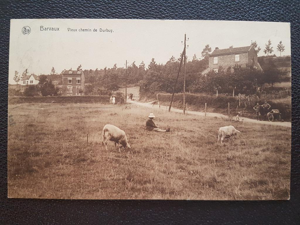 Carte postale Barvaux Vieux chemin de Durbuy (moutons), Collections, Enlèvement ou Envoi, 1920 à 1940, Affranchie, Luxembourg