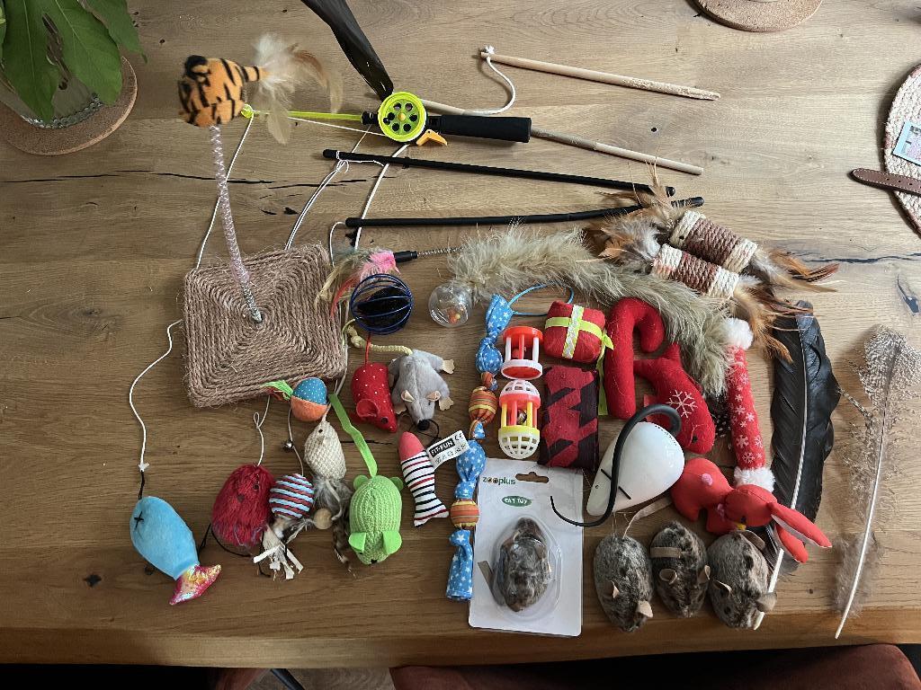 SPOTPRIJS voor deze grote set van meer dan 30kattenspeeltjes, Animaux & Accessoires, Jouets pour chats, Enlèvement ou Envoi, Comme neuf