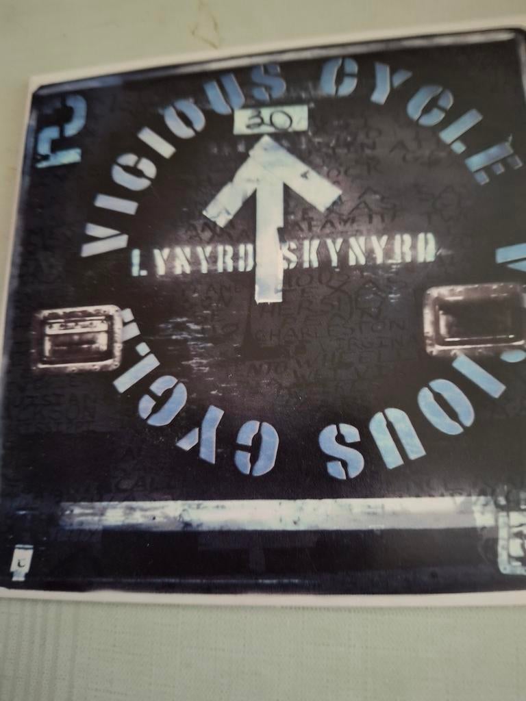 Lynyrd skynyrd, Ophalen of Verzenden, Zo goed als nieuw