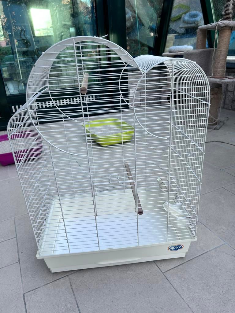 Cage volière oiseaux canaris, Enlèvement, Utilisé, Volière