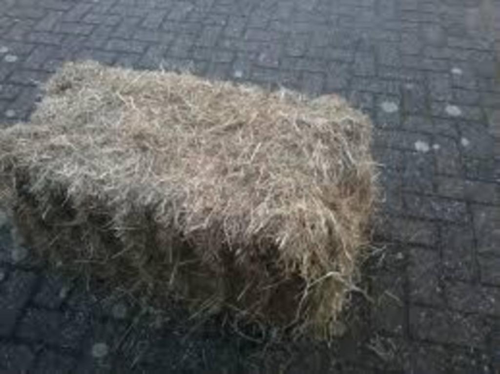 Kleine pakjes hooi, Ophalen of Verzenden, Vee