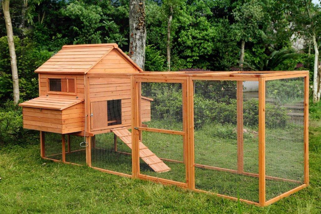 Poulailler XXL abri poule GEANT basse cour oie canard coq, Envoi, Neuf, Poulailler