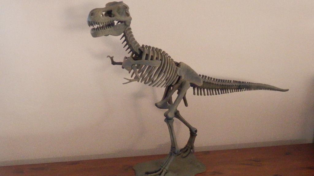 Tyrannosaurus, Ophalen of Verzenden, Zo goed als nieuw