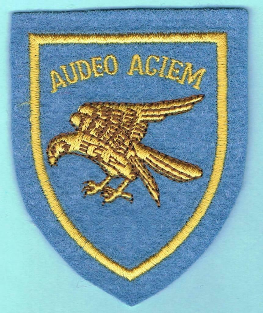 Belgian Air Force Service dress Insignia ( MS 3 ), Verzenden, Luchtmacht, Embleem of Badge