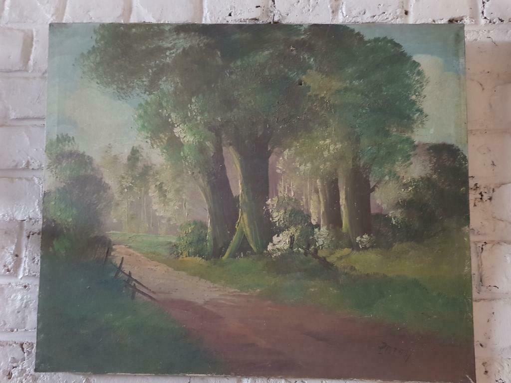 Landschap schilderij op doek met handtekening, Ophalen of Verzenden