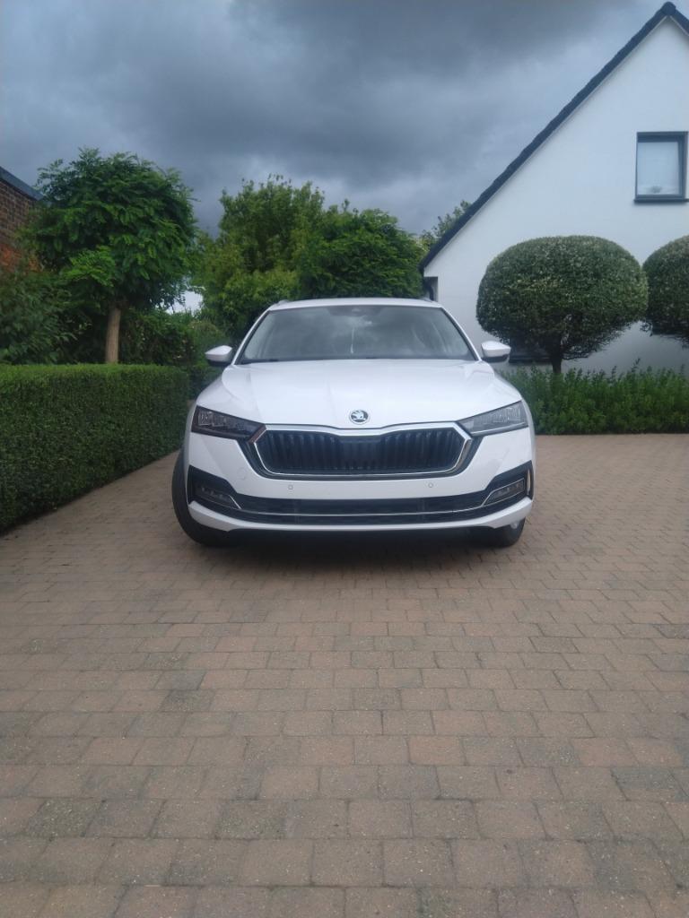 voiture, Autos, Skoda, Achat, Entreprise, Carnet d'entretien, 5 portes