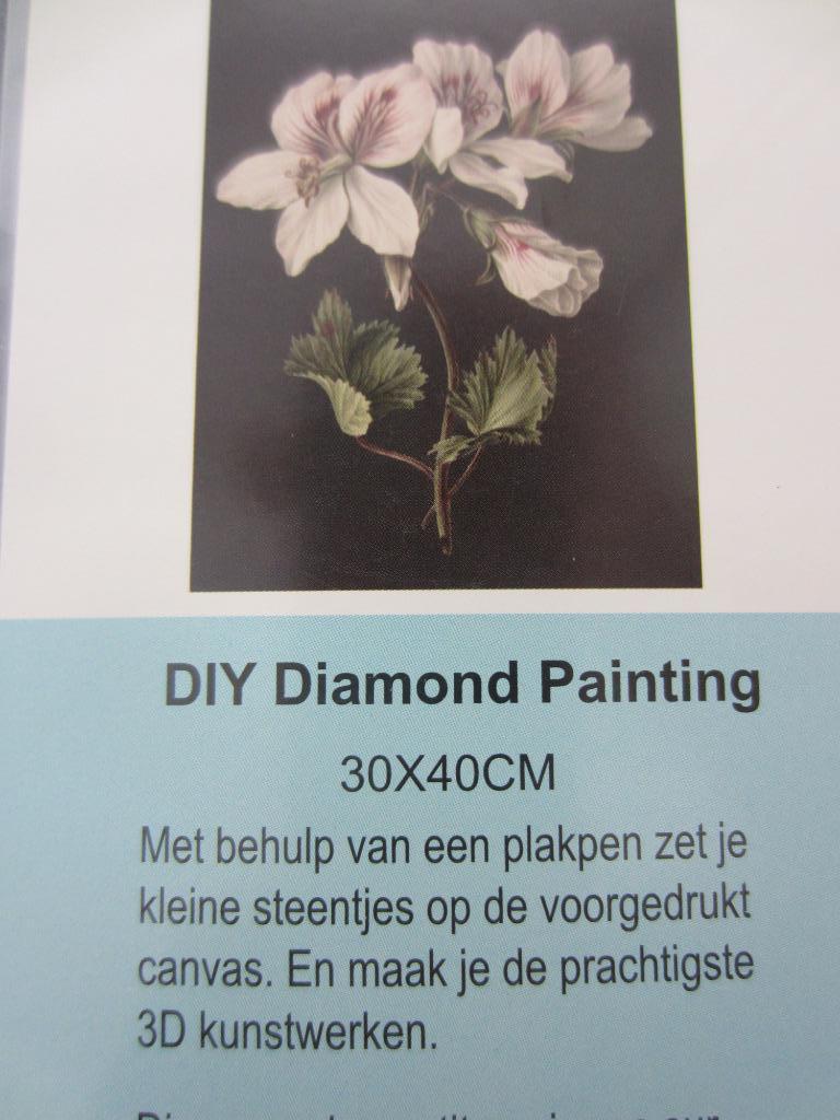 Diamond painting Bloemenschilderij, Ophalen of Verzenden, Nieuw