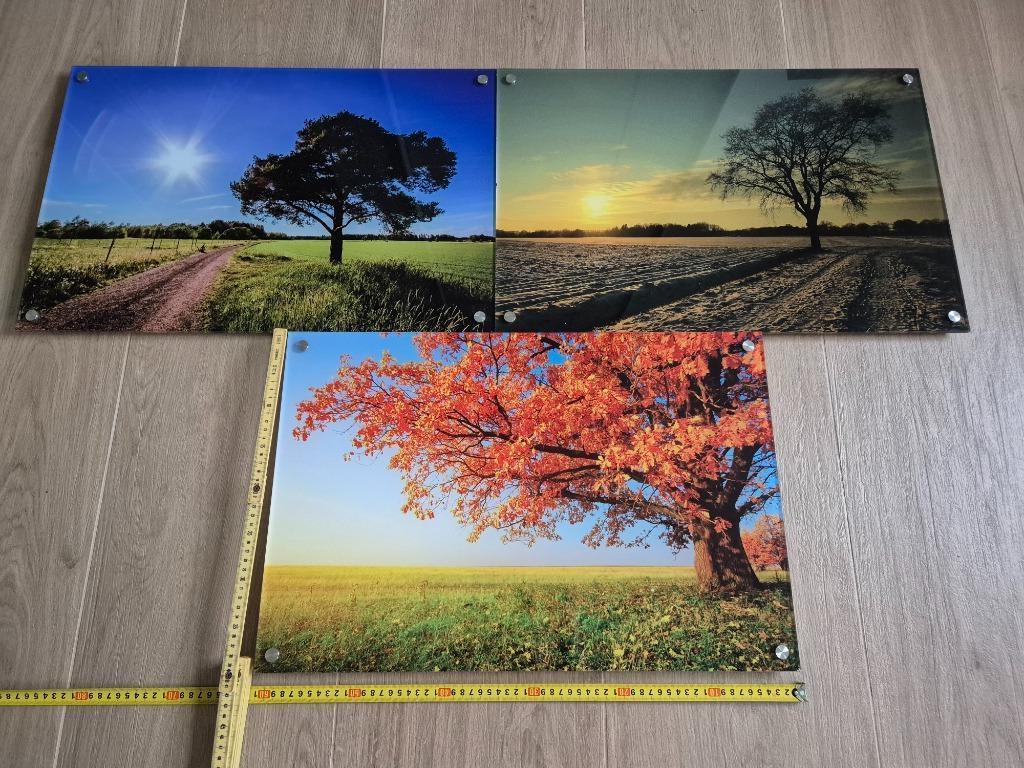 3 foto kaders acryl - seizoenen, Audio, Tv en Foto, Fotografie | Fotolijsten, Ophalen of Verzenden, Gebruikt