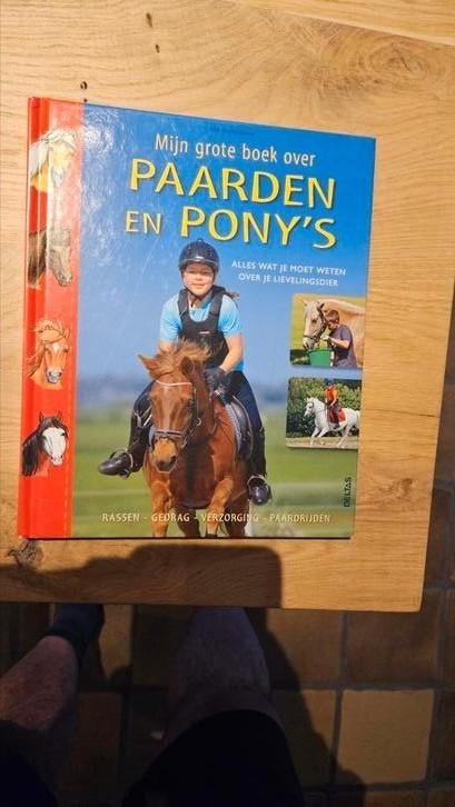 Grote boek over paarden en pony's, Boeken, Dieren en Huisdieren, Ophalen of Verzenden, Zo goed als nieuw