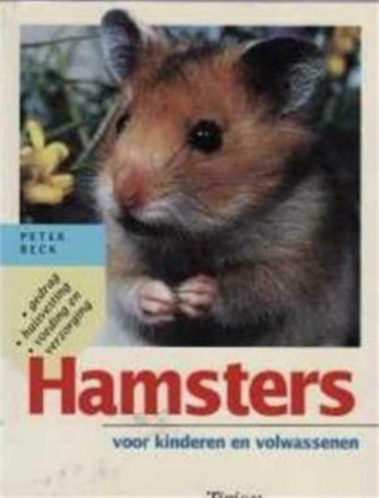 Hamsters voor kinderen en volwassenen, Peter Beck, Livres, Enlèvement ou Envoi, Utilisé, Lapins ou Rongeurs