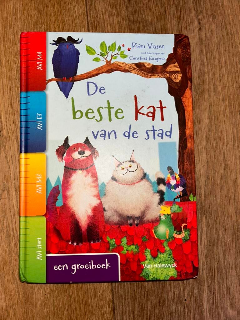 Visser Rian - De beste kat van de stad, Enlèvement ou Envoi, Visser Rian