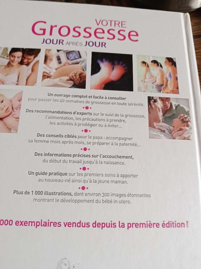 Livre sur la grossesse jour après jour, Livres, Enlèvement, Comme neuf, Grossesse et accouchement
