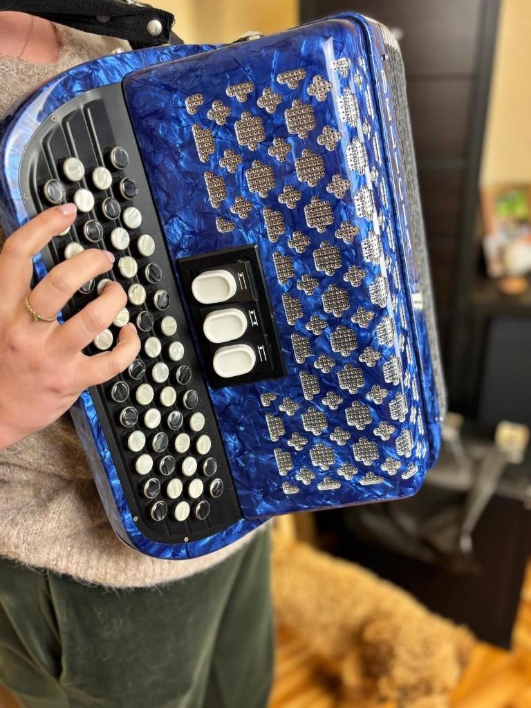 Accordeon te koop, Musique & Instruments, Musiques & Instruments Autre, Utilisé, Enlèvement