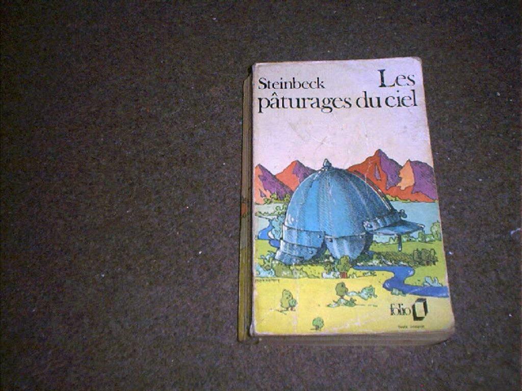 Boek Les paturages du ciel (John Steinbeck), Ophalen of Verzenden, Zo goed als nieuw