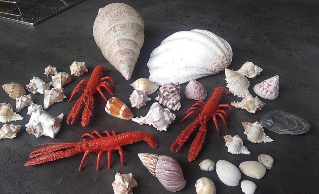 strand zee decoratie, Ophalen of Verzenden