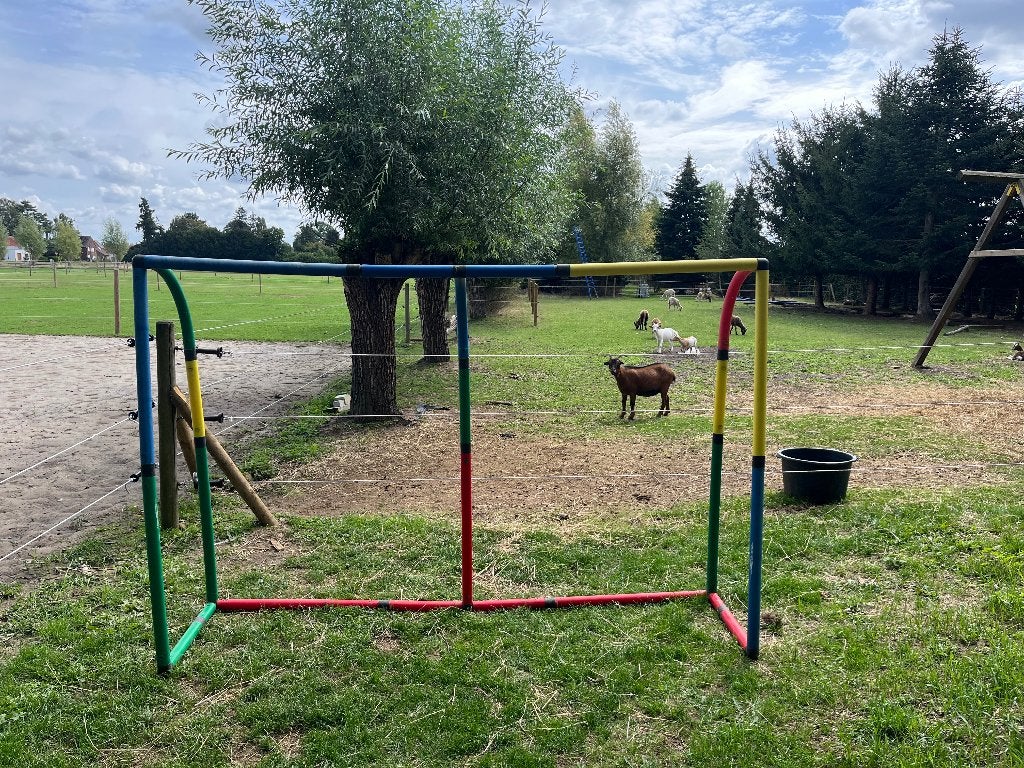 Goal set van quadro, Sport en Fitness, Voetbal, Ophalen, Gebruikt, Overige typen