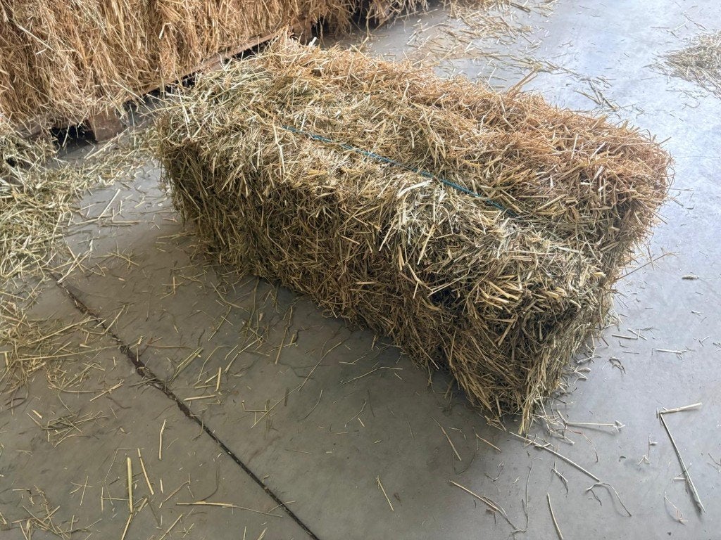 Hooi - super kwaliteit - kleine balen, Ophalen