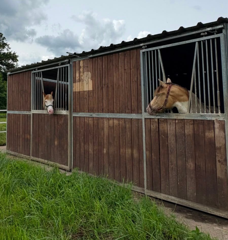 3 voorwanden paardenstal, Animaux & Accessoires, Box & Pâturages