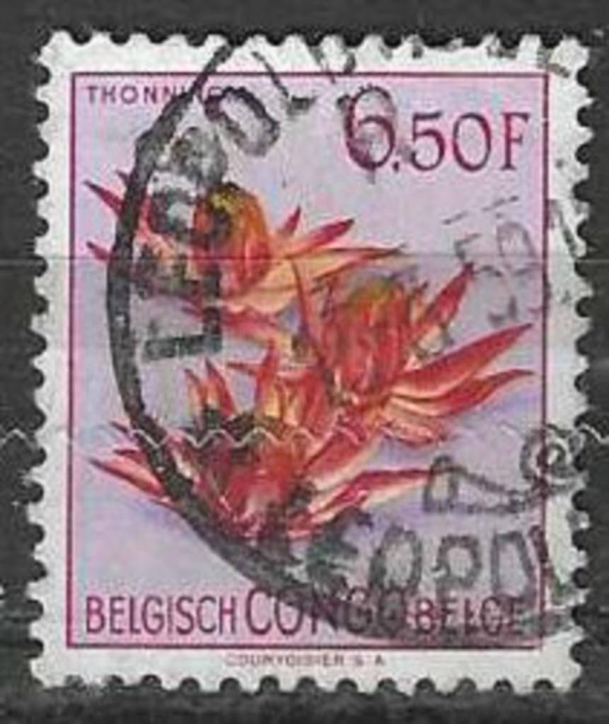 Congo belge 1952 - Yvert 317 - Flore - Fleurs (ST), Envoi, Affranchi