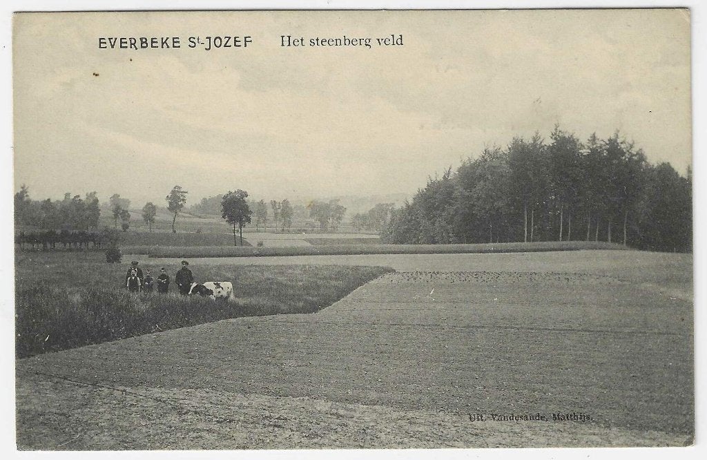 Postkaart Everbeke St-Jozef, Het steenberg veld, Ophalen of Verzenden, Voor 1920, Ongelopen, Oost-Vlaanderen
