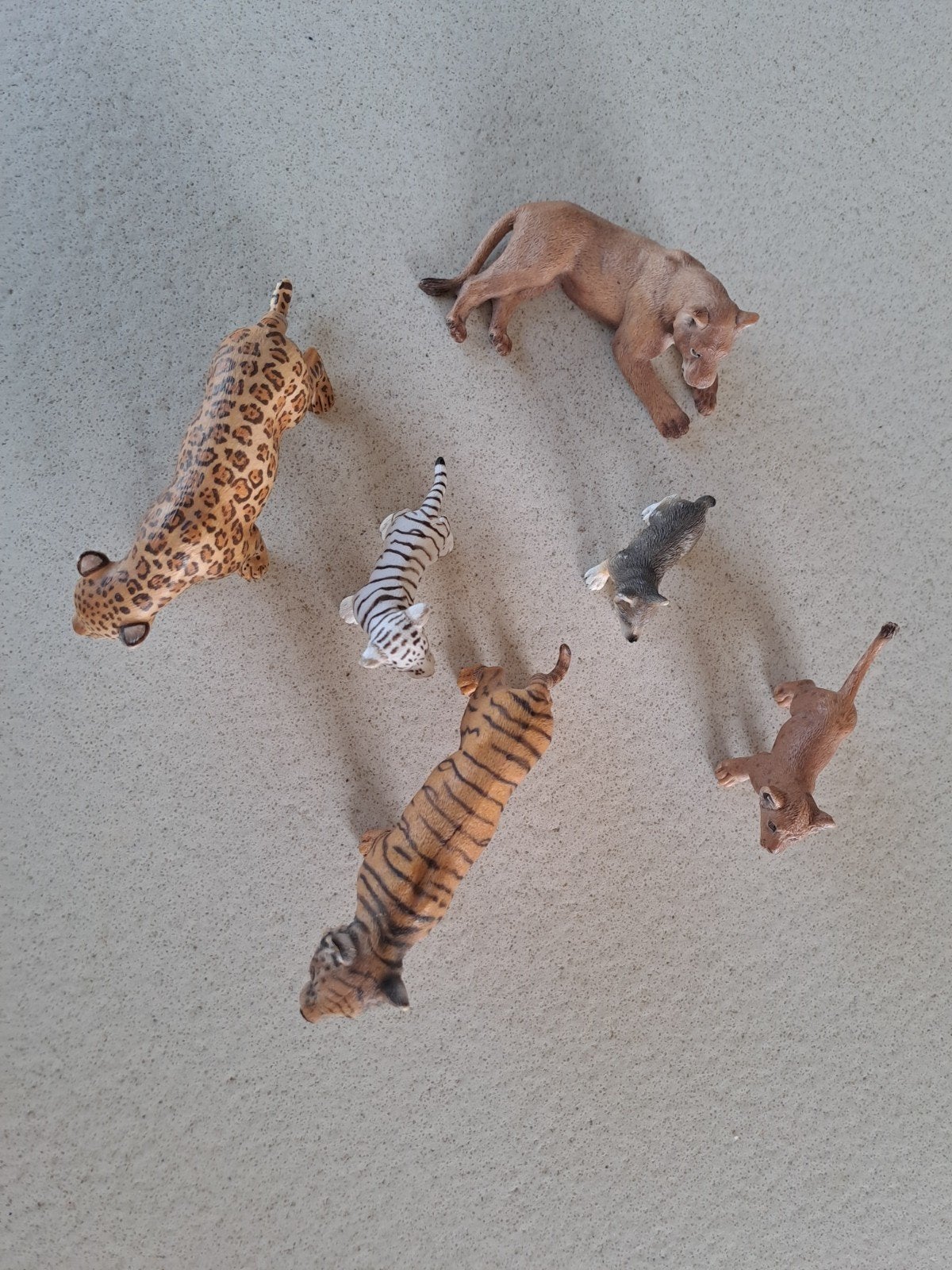 Figurines Schleich Wild Life : félins, Enlèvement