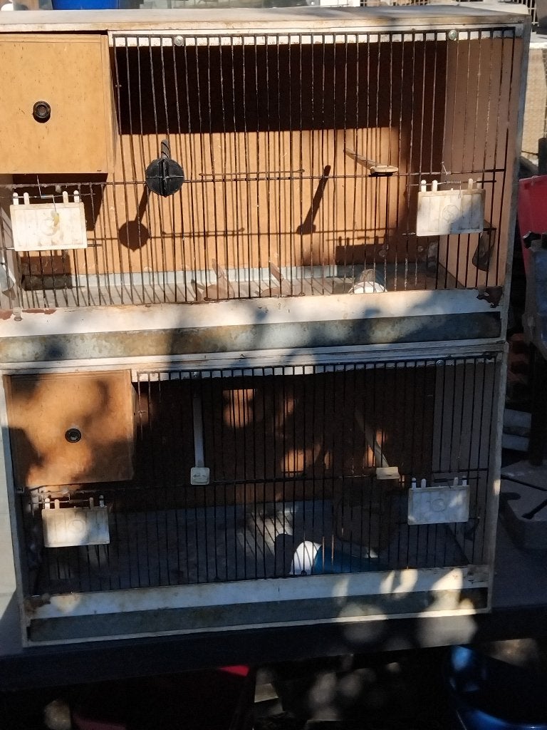 Cage d élevage crochus, Enlèvement, Utilisé, Bois, Cage d'élevage