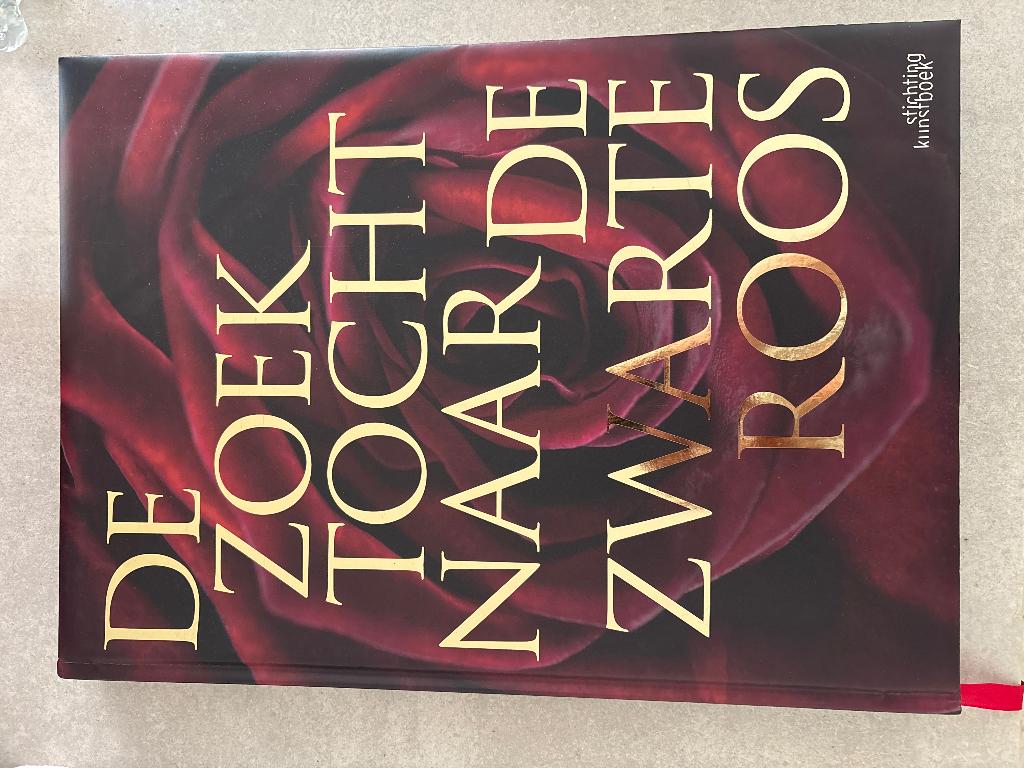 Boek De zoektocht naar de zwarte roos, Verzenden, Ingrid verdegem, Zo goed als nieuw, Overige onderwerpen