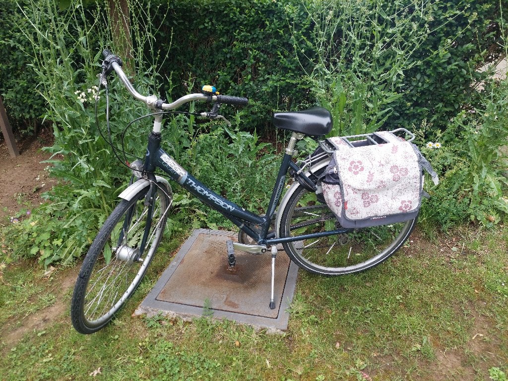 Thompson stadsfiets dames, Fietsen en Brommers, Ophalen, Gebruikt, Schijfrem, Overige merken