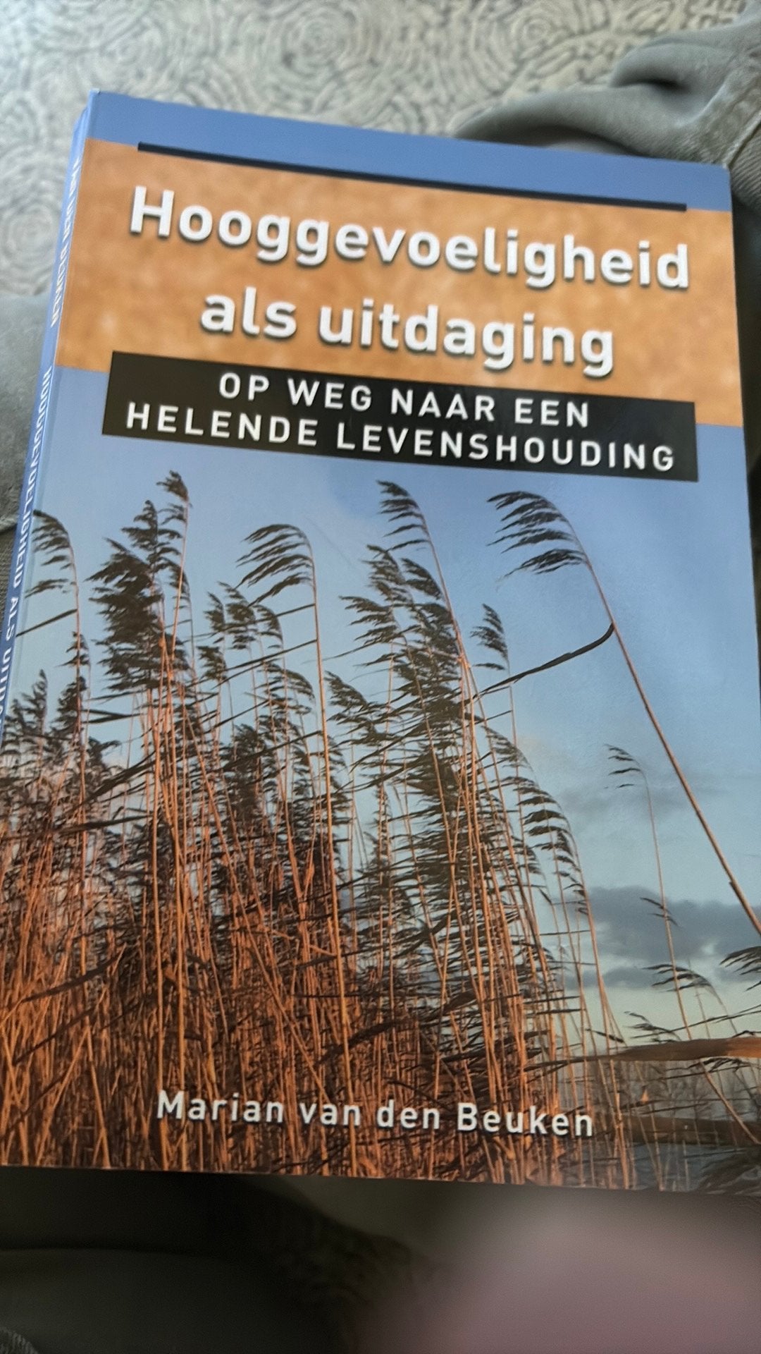 Marian van den Beuken - Hooggevoeligheid als uitdaging, Ophalen of Verzenden, Marian van den Beuken