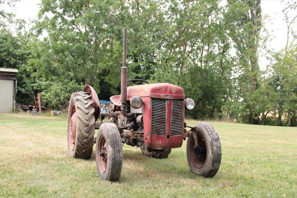 Disposition 4 cylindres essence 12 volts Ferguson TED '53, Enlèvement, Oldtimer/Ancêtre, Jusqu'à 80 ch, Massey Ferguson