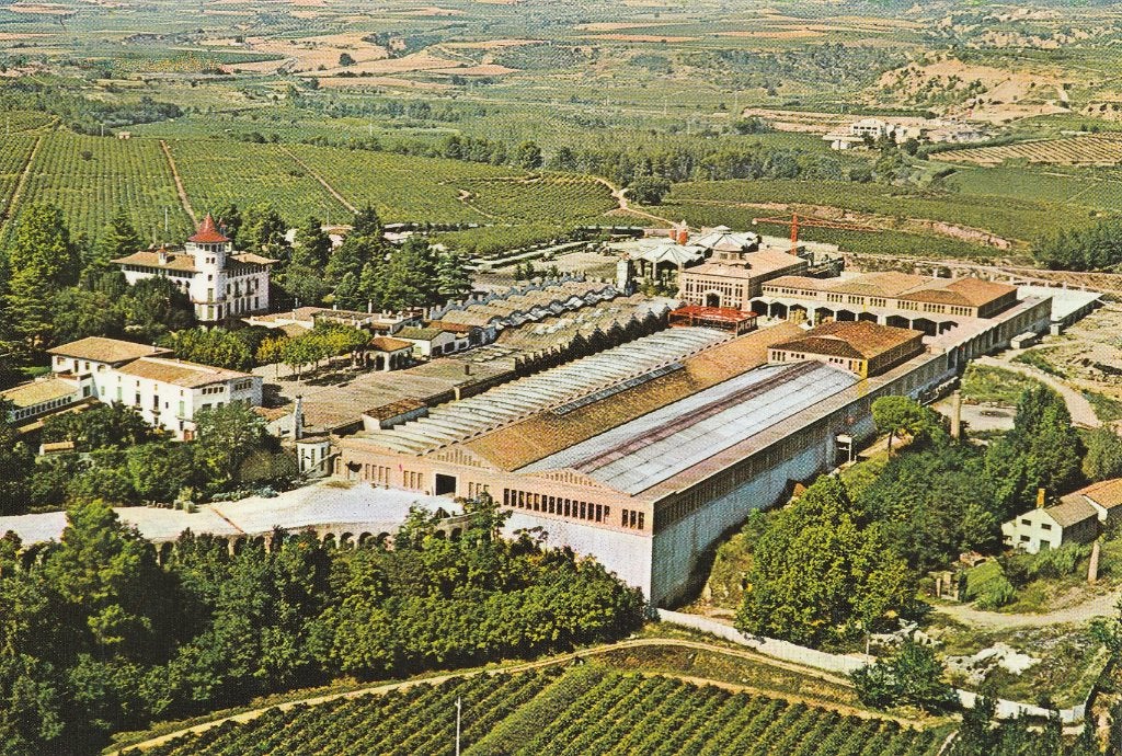 CAVAS  CODORNIU -  Buitenzicht Bedrijf, Enlèvement ou Envoi, Non affranchie, Autres thèmes
