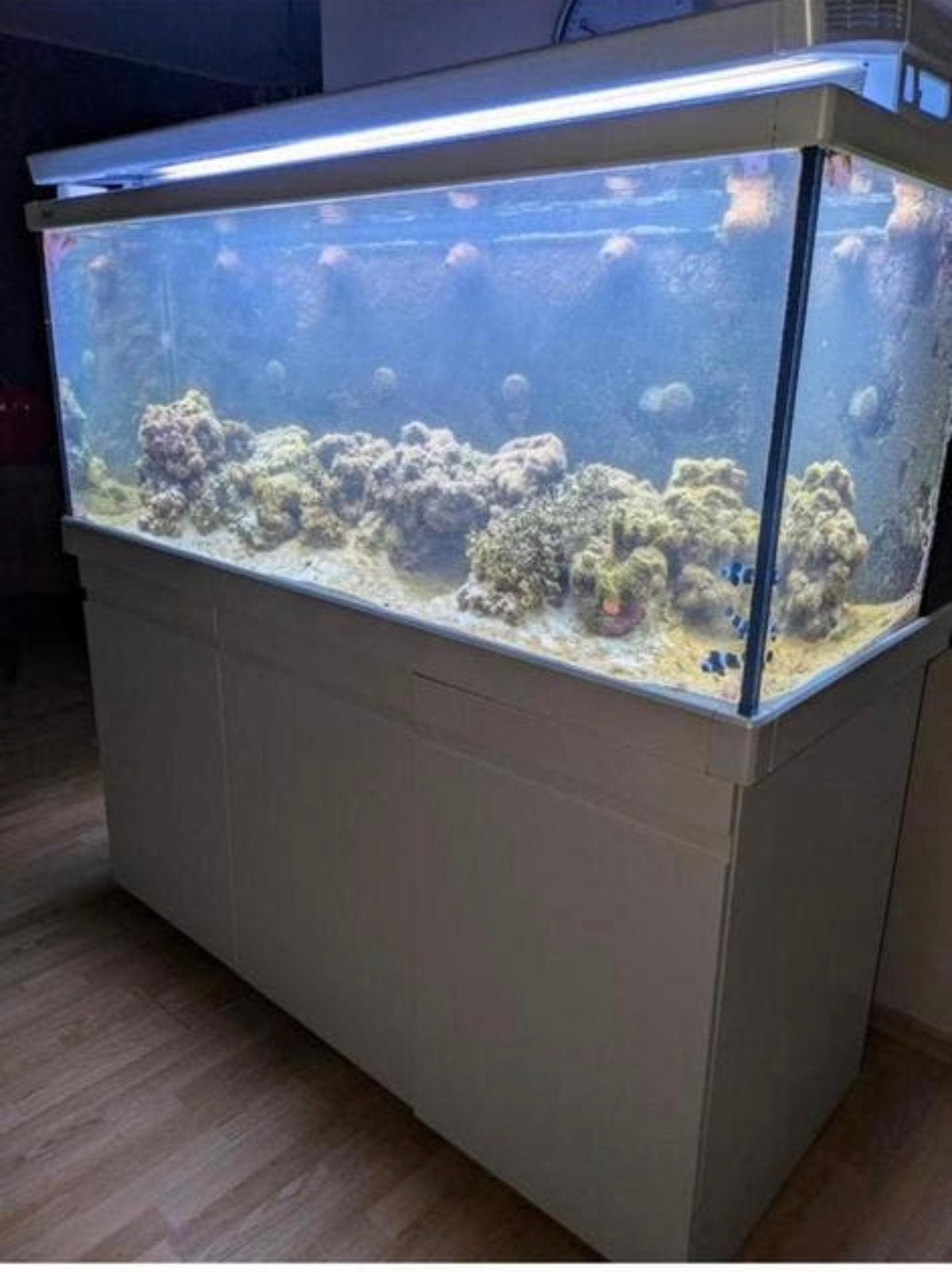 Red sea Aguarıum  full sisteem 160/70/70 ık kan je berengen, Animaux & Accessoires, Poissons | Aquariums & Accessoires, Enlèvement ou Envoi