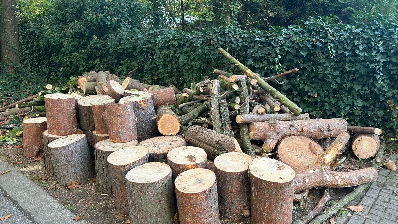 Brand hout gratis afhalen., Enlèvement
