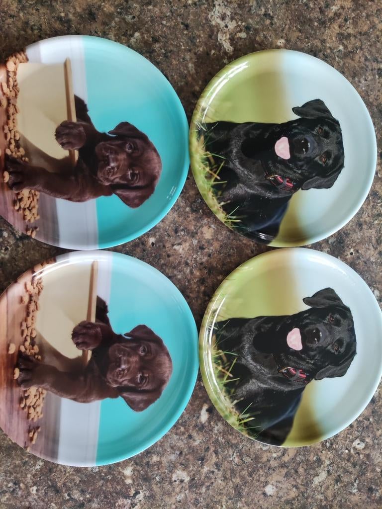 Vaisselle en plastique, Enlèvement