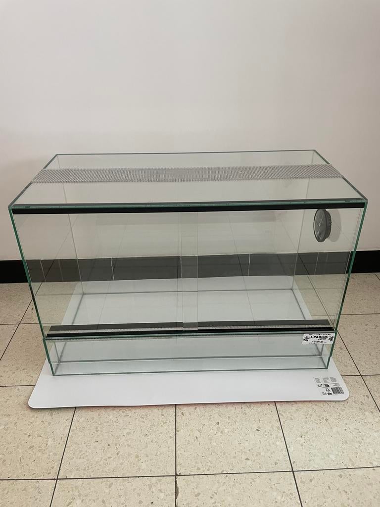 Terrarium Paulus 60 x 30 x 40cm etat neuf, Dieren en Toebehoren, Ophalen, Zo goed als nieuw