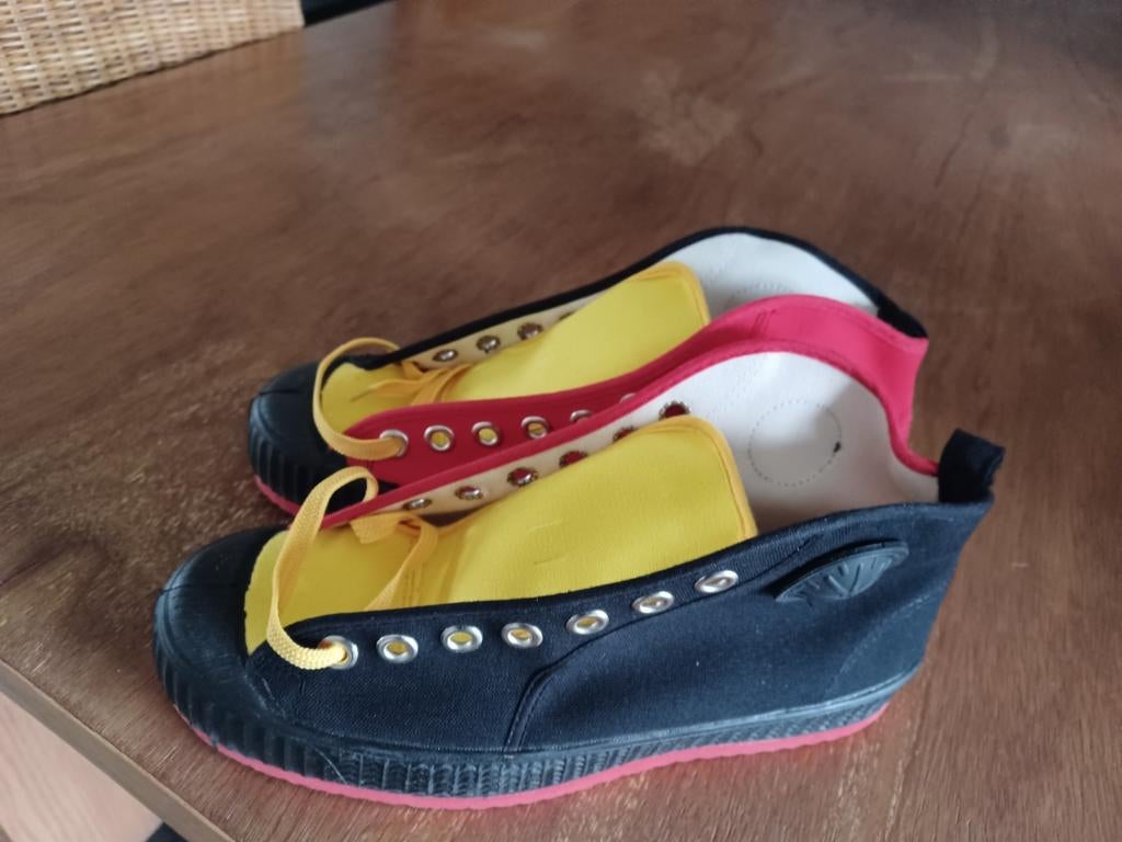 Sneakers NIEUW in driekleur, Ophalen