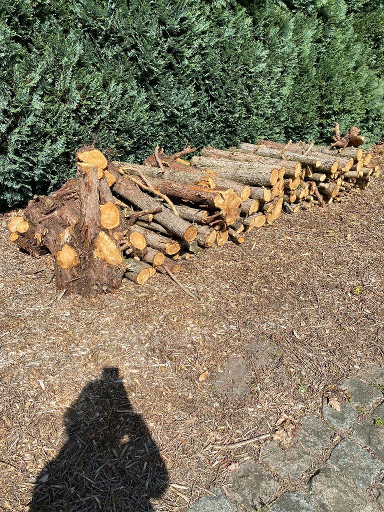 Brandhout, Tuin en Terras, Brandhout, Ophalen, Stammen