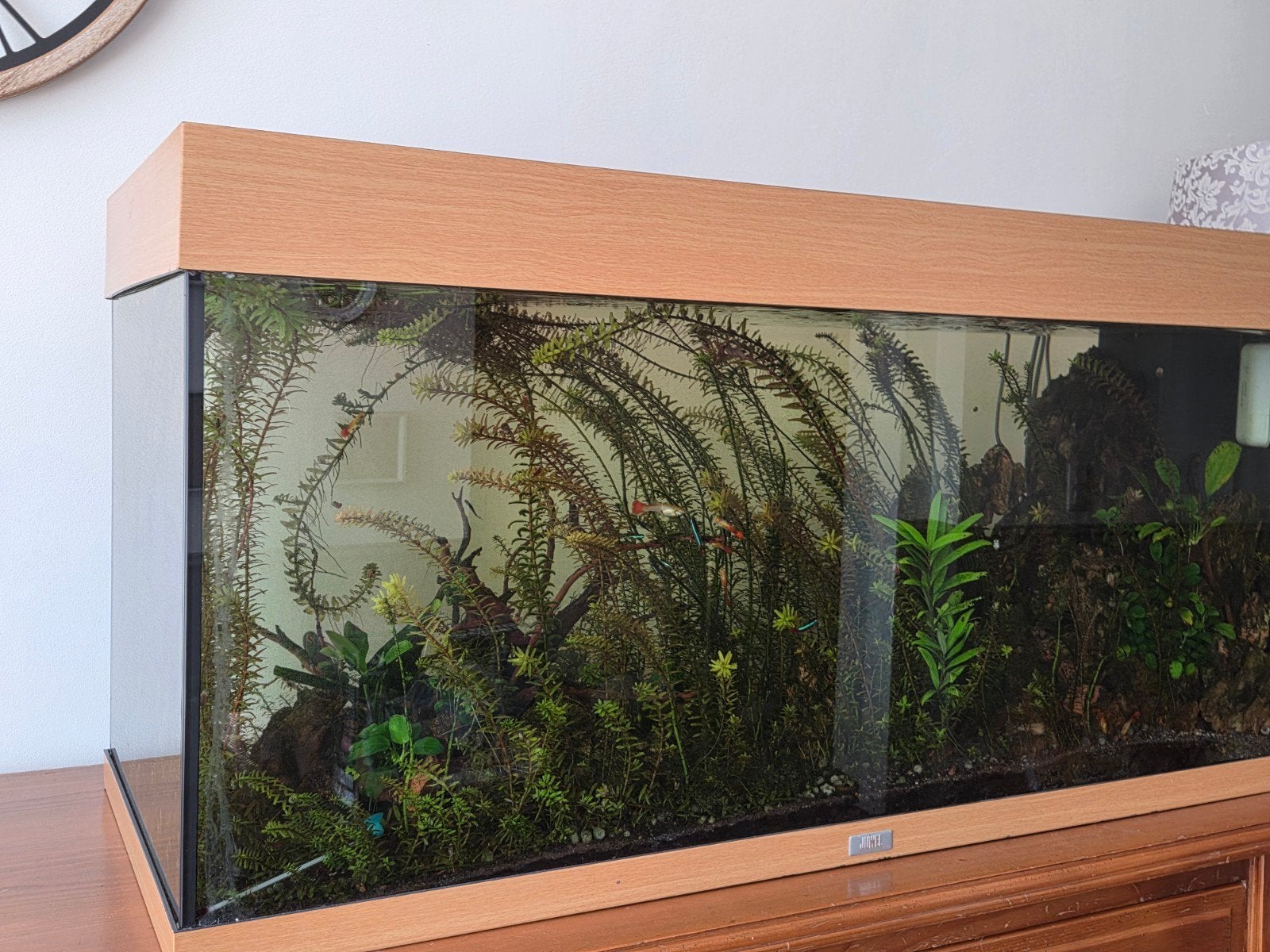 Grote aquarium Juwel, Ophalen, Verwarming, Juwel